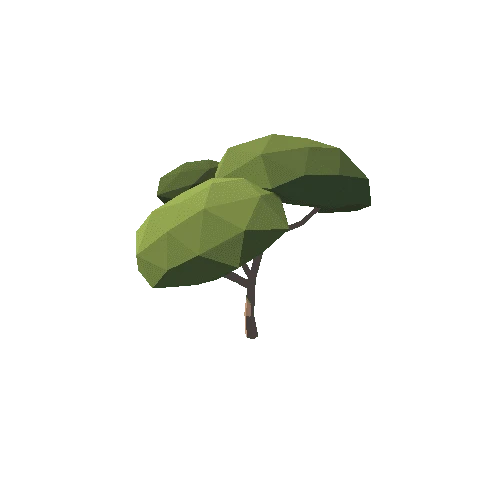Tree Type3 03